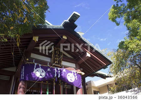 稲毛神社/神奈川県川崎市川崎区宮本町 稲毛神社/神奈川県川崎市川崎区宮本町 36043566