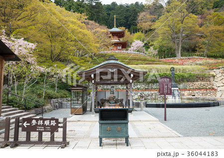 勝尾寺 春 大阪府箕面市 2017年4月撮影 36044183