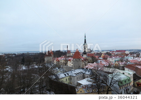 タリンの旧市街(Old Town of Tallinn) 36044321