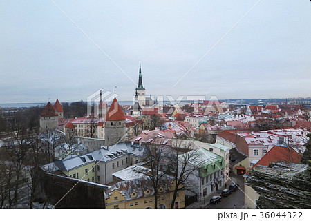 タリンの旧市街(Old Town of Tallinn) タリンの旧市街(Old Town of Tallinn) 36044322