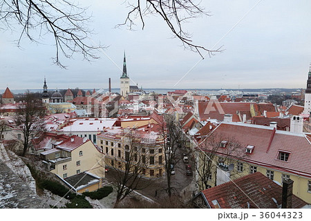 タリンの旧市街(Old Town of Tallinn) タリンの旧市街(Old Town of Tallinn) 36044323