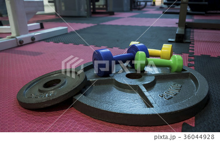 Dumbbell Dumbbell 36044928
