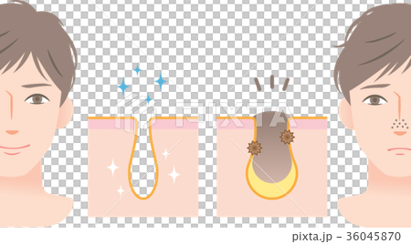 Male Skin Care Pore Male Skin Care Pore 36045870