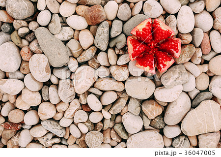 pomegranate on stony background pomegranate on stony background 36047005
