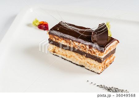 opera cake opera cake 36049568