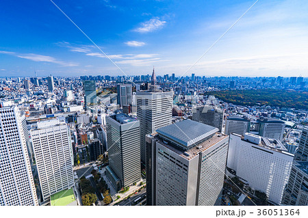 《東京都》新宿副都心・都市風景 《東京都》新宿副都心・都市風景 36051364