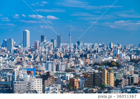 東京・都市風景 36051367