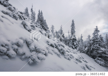 Fantastic winter landscape 36051402