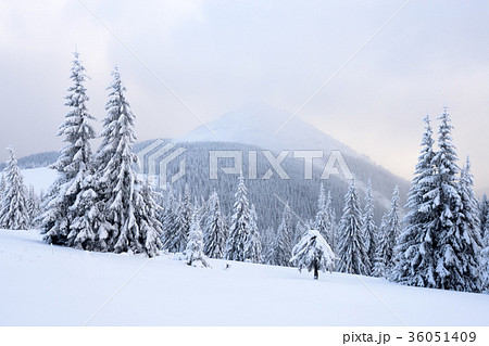 Fantastic winter landscape Fantastic winter landscape 36051409