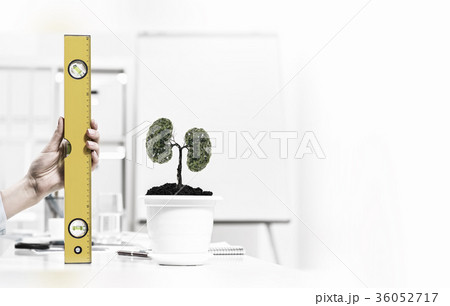 Growth and income 36052717