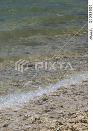 白保海岸(石垣島) 白保海岸(石垣島) 36053634