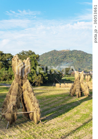 農村イメージ 農村イメージ 36053661