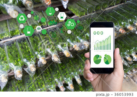 agriculture technology concept man Agronomist  36053993