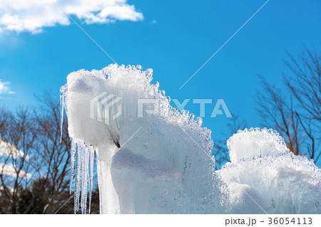 西湖樹氷まつり 1月 樹氷 積雪 の写真素材