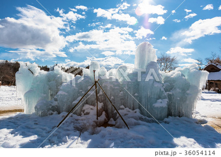 西湖樹氷まつり 1月 樹氷 積雪 の写真素材