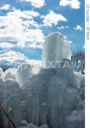 西湖樹氷まつり 1月 樹氷 積雪 の写真素材