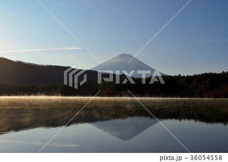 西湖からの富士山　初秋朝の風景 36054558