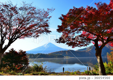 紅葉の河口湖からの富士山の風景 36054560
