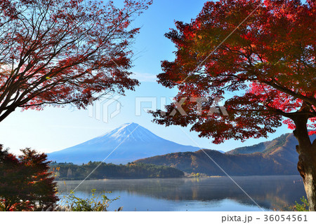 紅葉の河口湖からの富士山の風景 36054561