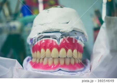Mould of human teeth.  Oral health concept. Mould of human teeth.  Oral health concept. 36054649