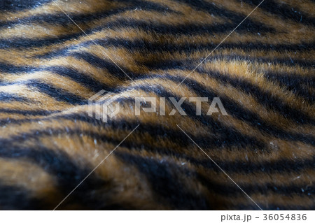 Close up an image of Natural fur Close up an image of Natural fur 36054836