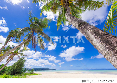 グアム ビーチ グアム ビーチ 36055297