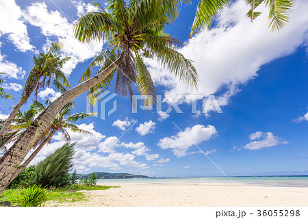 グアム　ビーチ 36055298