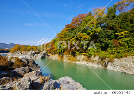 長瀞渓谷 紅葉の季節 岩肌と清流 下流方向 a 広角 長瀞渓谷 紅葉の季節 岩肌と清流 下流方向 a 広角 36055440