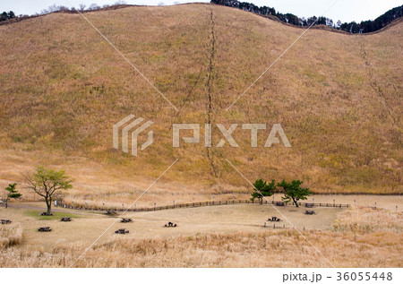 お亀池 お亀池 36055448