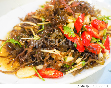 サンゴ草 寒天 かんてん 36055804