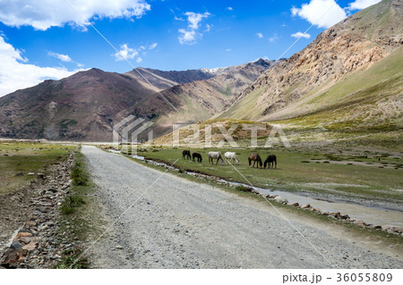 Mountain view 36055809