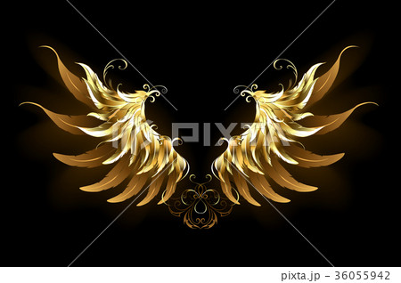 Shiny angel wings 36055942