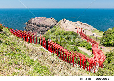 元乃隅稲成神社 -100メートル以上に渡り並ぶ123基の朱の鳥居- 36056631
