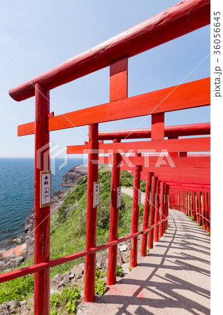 元乃隅稲成神社 -100メートル以上に渡り並ぶ123基の朱の鳥居- 36056645