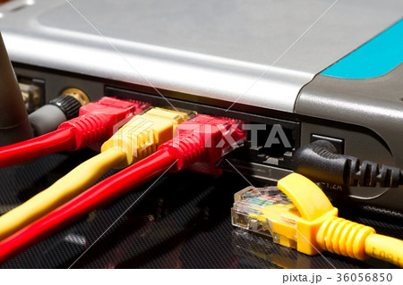 Network cables Network cables 36056850