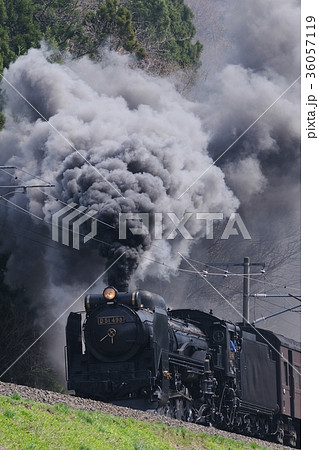 蒸気機関車 36057119