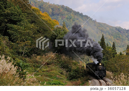 秋のＳＬ 36057128