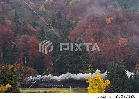 秋のＳＬ 36057130