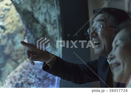 老夫婦と海 36057726