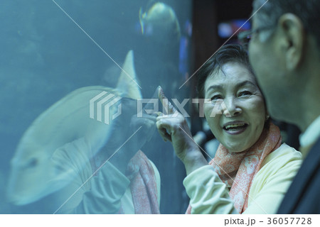 老夫婦と海 36057728