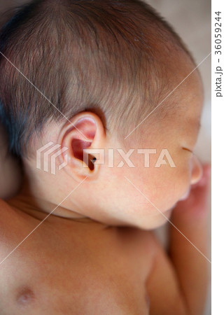 Sleeping Asian newborn Sleeping Asian newborn 36059244