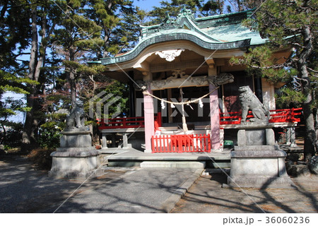 元城町東照宮 36060236