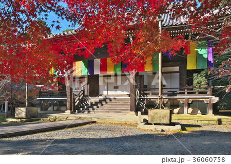 錦秋の光明寺 36060758