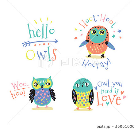 Hand drawn symbols, icons, illustrations with owls Hand drawn symbols, icons, illustrations with owls 36061000