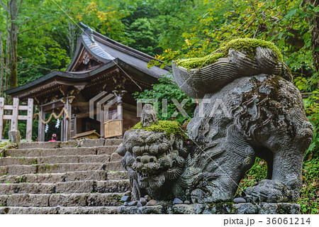 戸隠神社奥社の狛犬 36061214