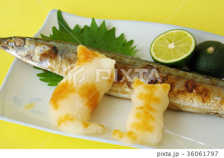 焼き秋刀魚と大根おろし猫の写真素材