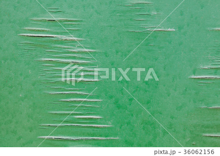 Old veneer, green paint over cracked plywood Old veneer, green paint over cracked plywood 36062156