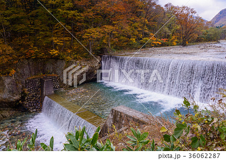 【群馬県】湯檜曽公園の湯檜曽川 36062287