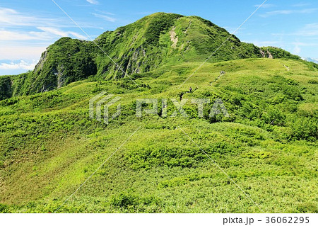 雨飾山 山頂までの道 雨飾山 山頂までの道 36062295