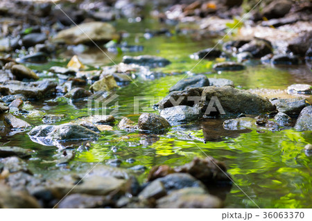 Mountain forest stream Mountain forest stream 36063370
